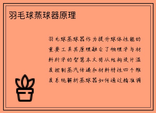 羽毛球蒸球器原理