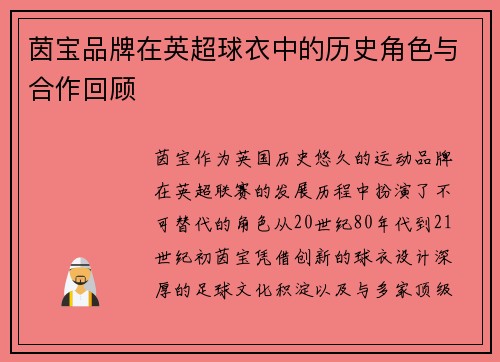 茵宝品牌在英超球衣中的历史角色与合作回顾