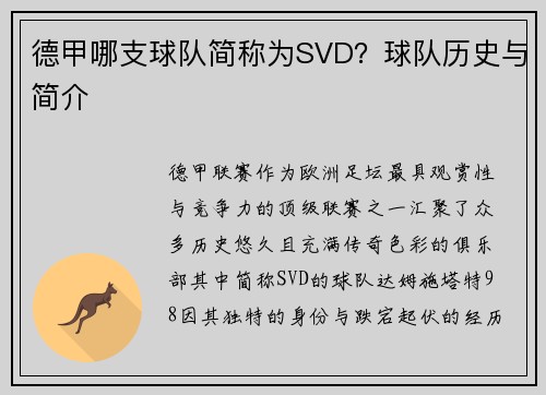 德甲哪支球队简称为SVD？球队历史与简介